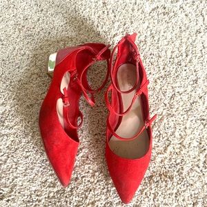 Aldo Pointy Toe Flats